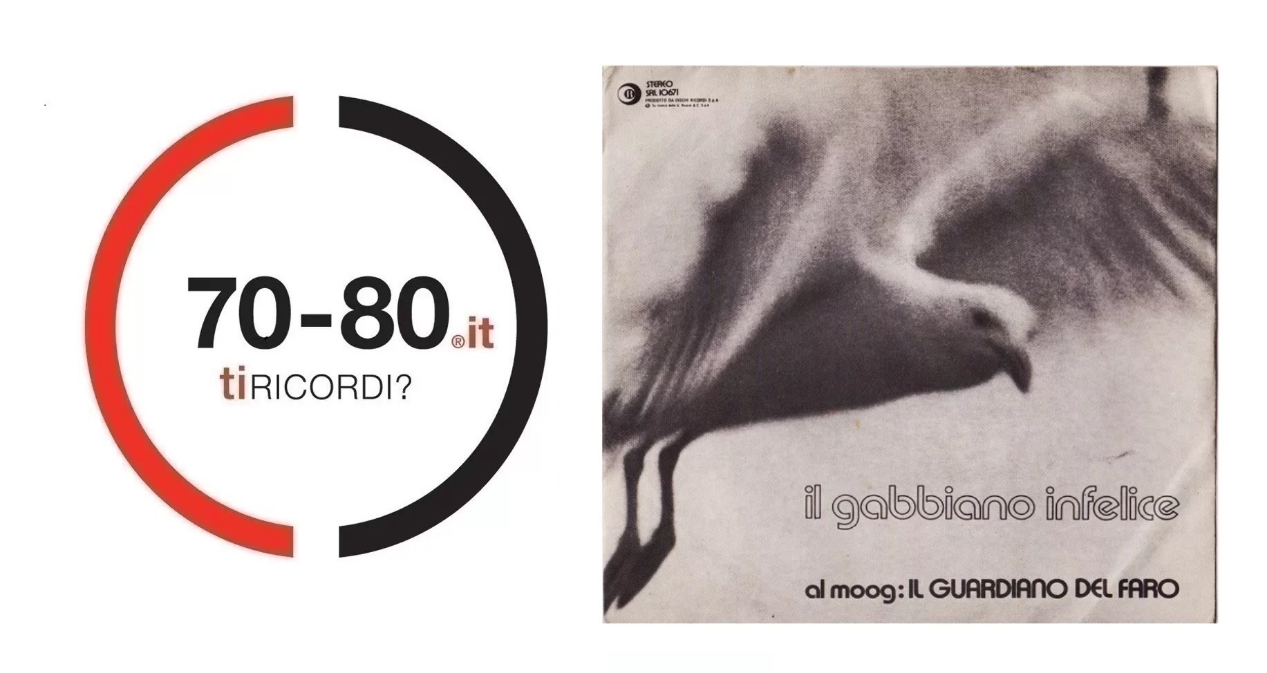 gabbiano infelice, guardino del faro